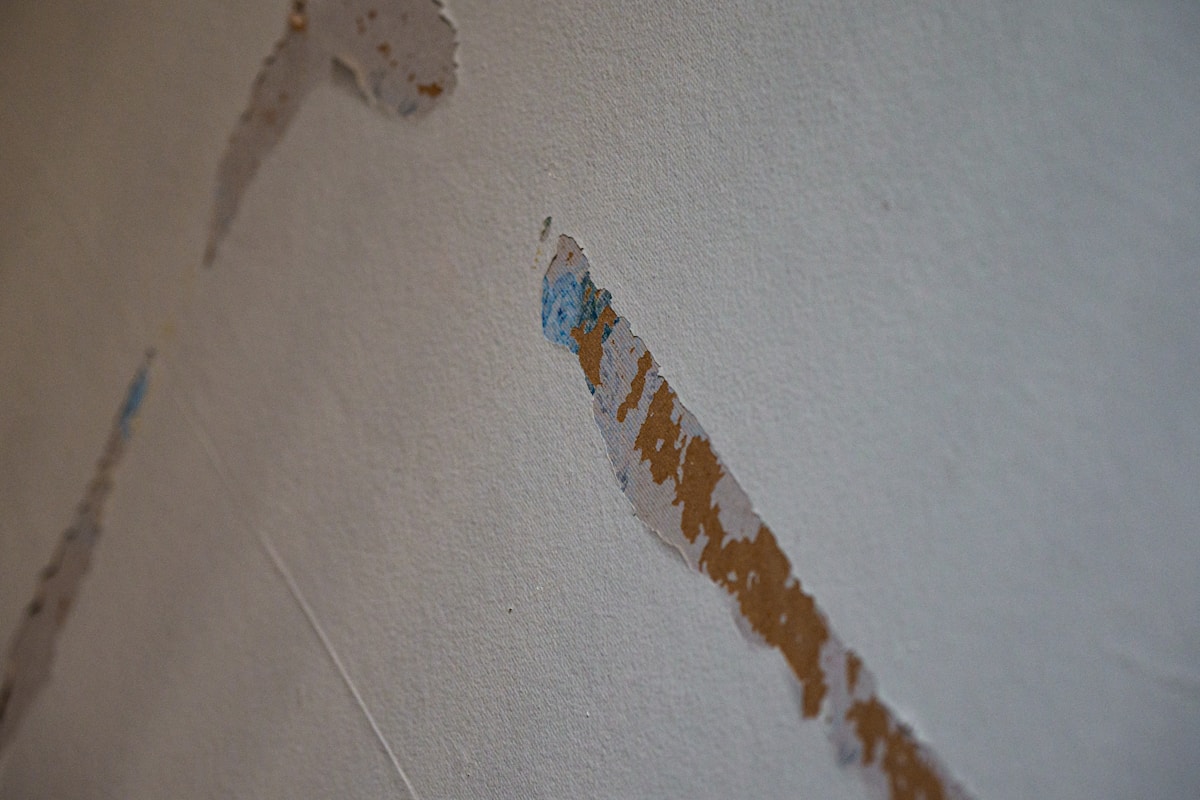 Water Extraction service in Morgantown, WV